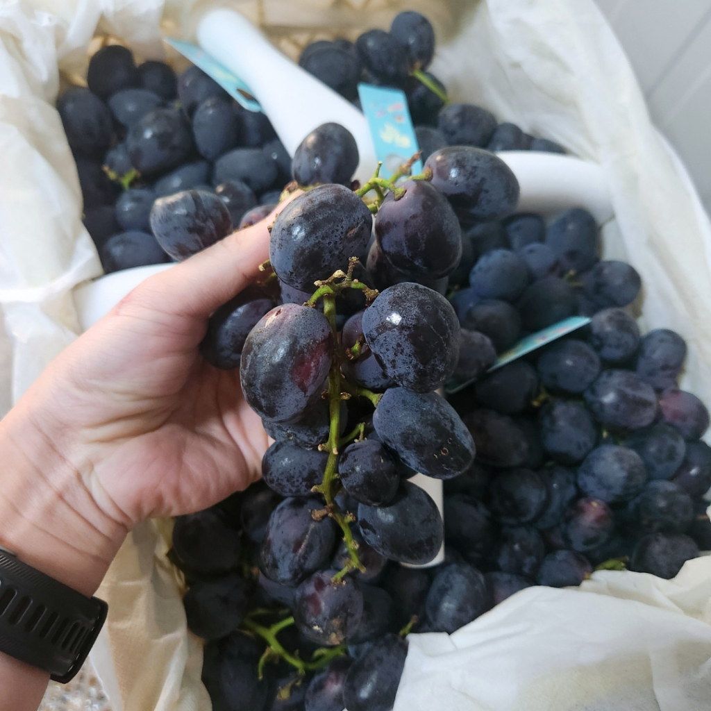 

Anggur Autumn Black Royal Anggur Hitam Import Manis 500gr