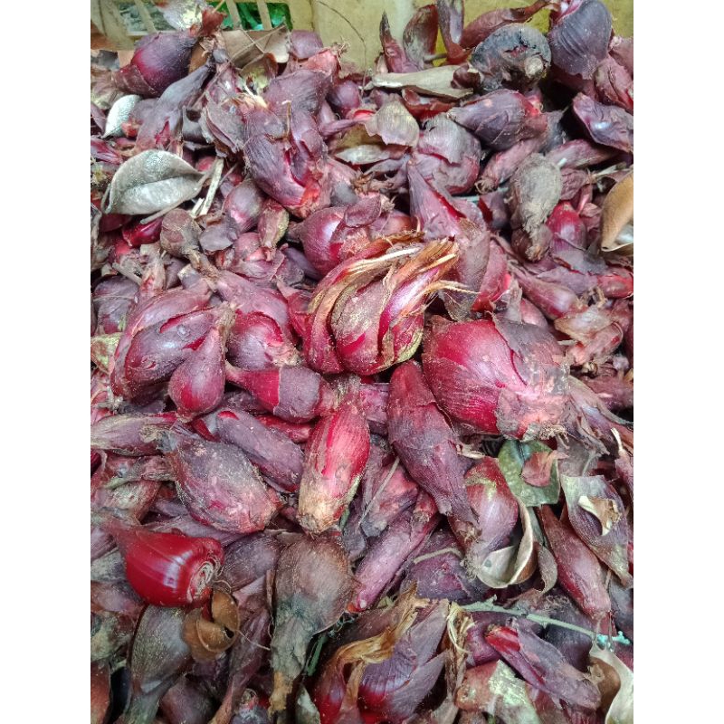 

bawang dayak 1kg
