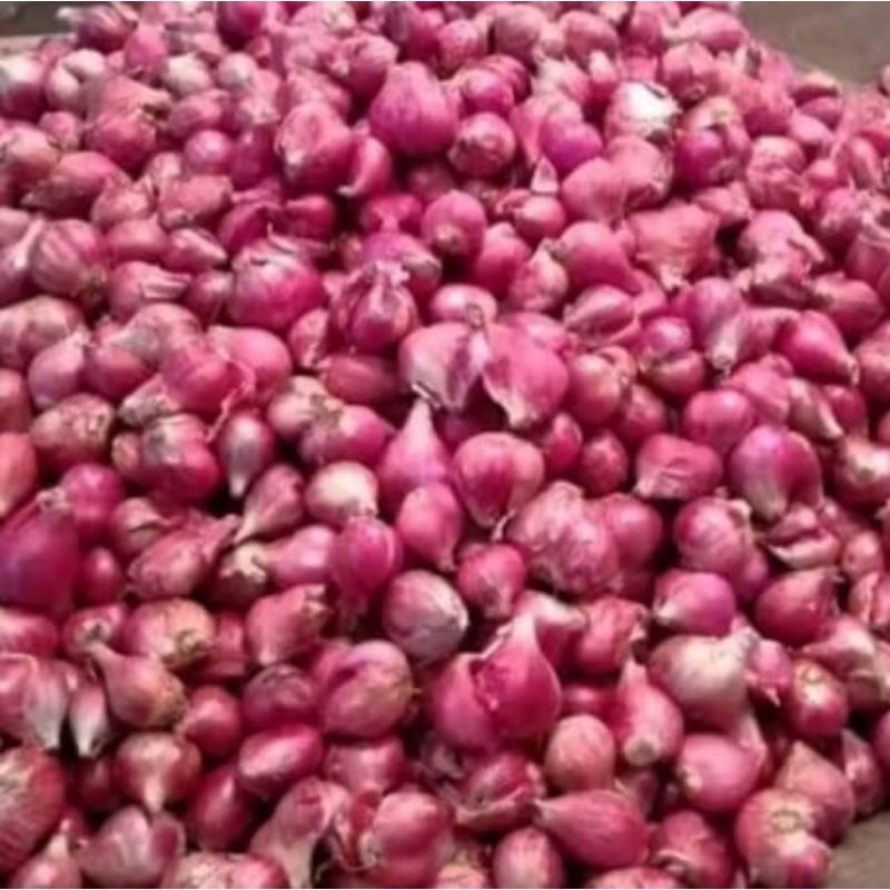 

Bawang Merah 500gr