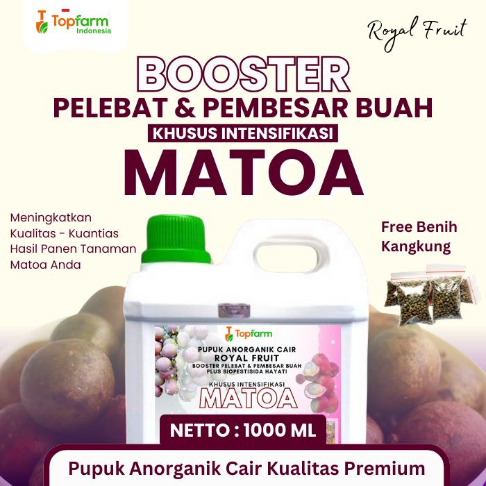 Pupuk Pelebat Buah Matoa / Pupuk Booster Buah Matoa / Pupuk Tanaman Matoa /Pupuk Khusus Pelebat Buah