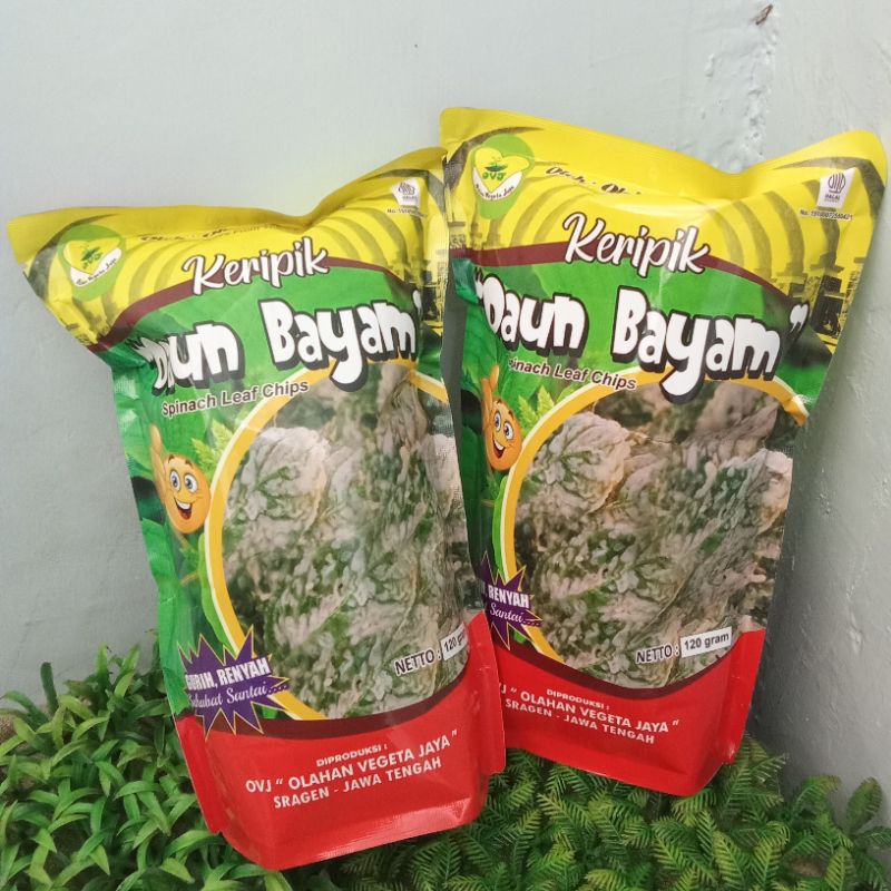 

Kripik Daun Bayam 120 gram/Camilan sehat dengan jenis yang berbeda