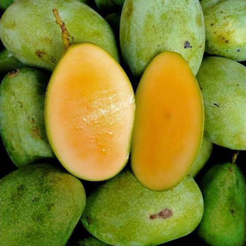 

Mangga Manalagi Fresh manis