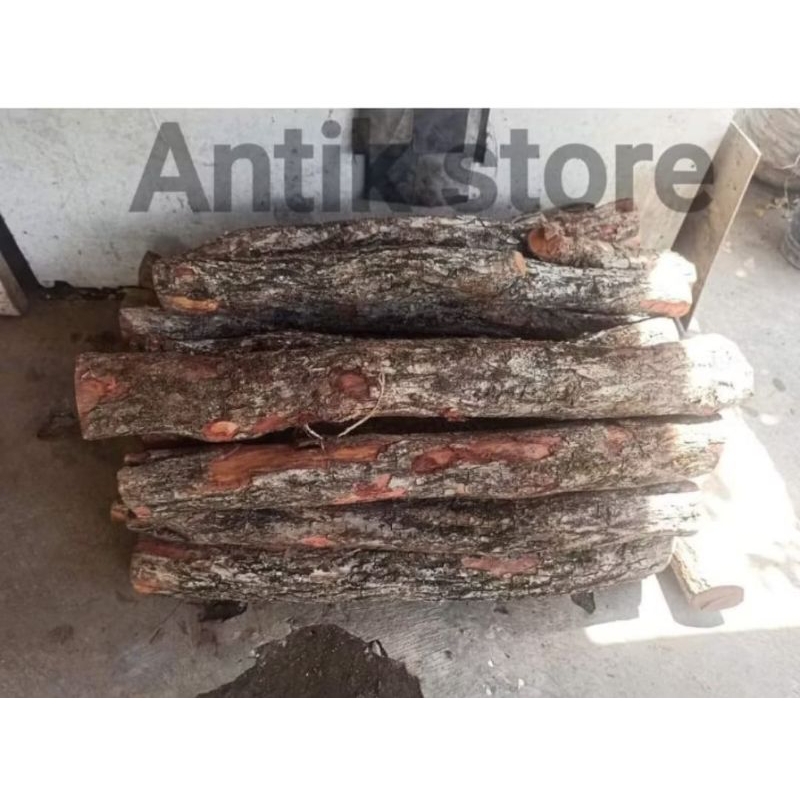 bahan kayu stigi setigi santeki laut asli
