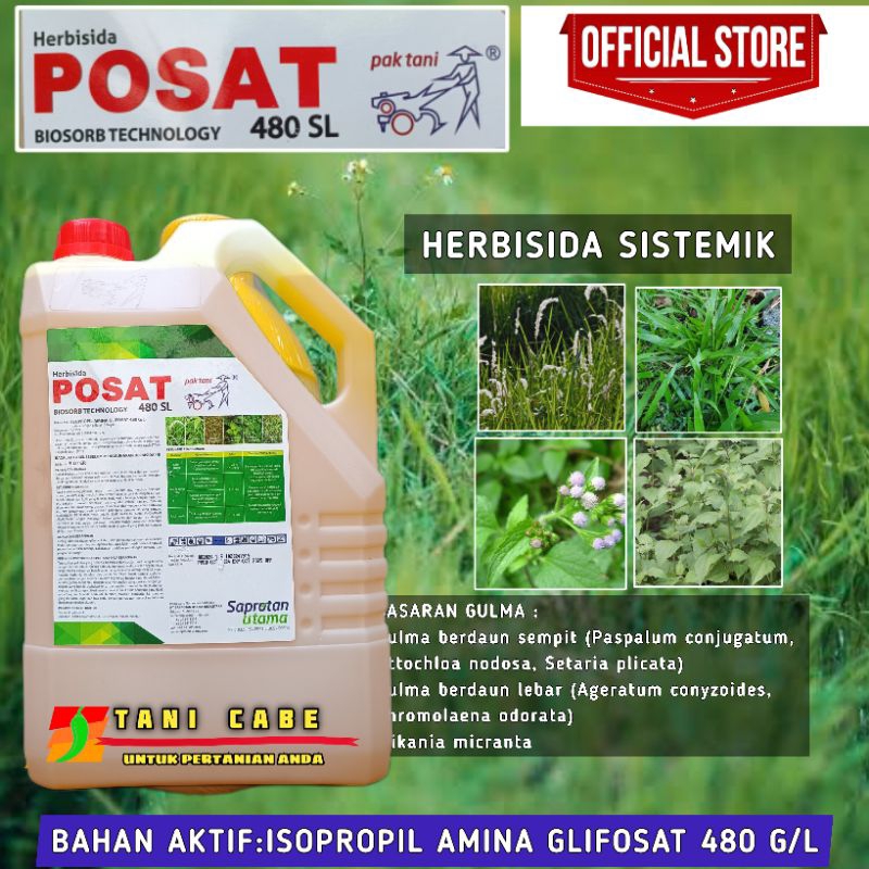 Herbisida sistemik POSAT 5 liter