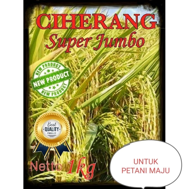 BENIH PADI CIHERANG SUPER JUMBO 1KG