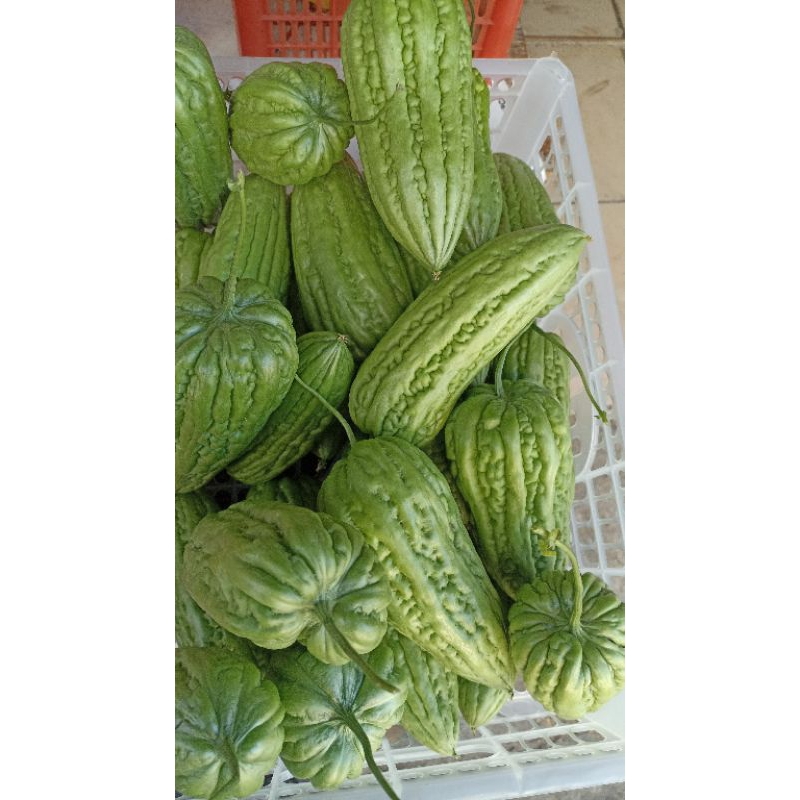 

Pare -+450gr per pcs