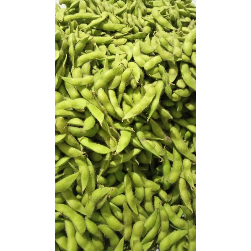 

Edamame Fresh Premium