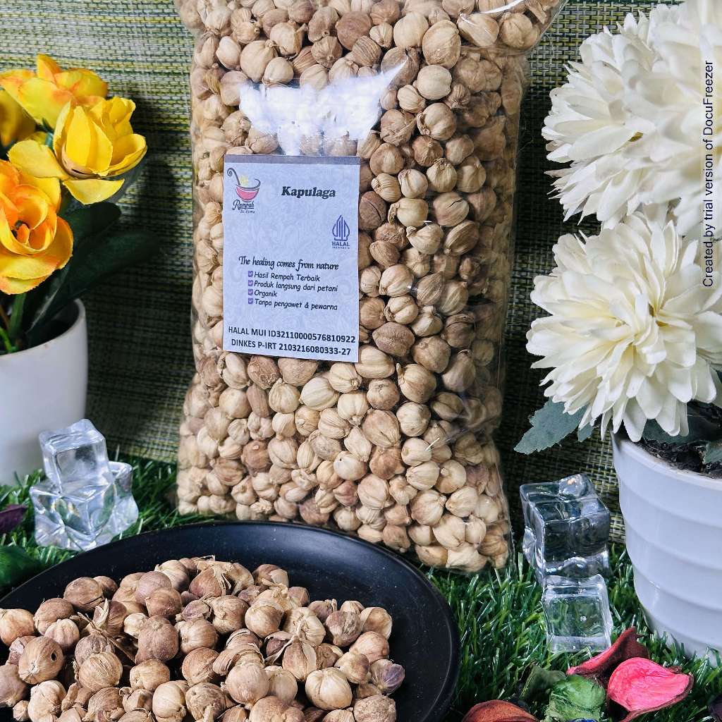 

KTr190 Kapulaga Utuh Kering Super 500 Gram - Rempah Bu Risma