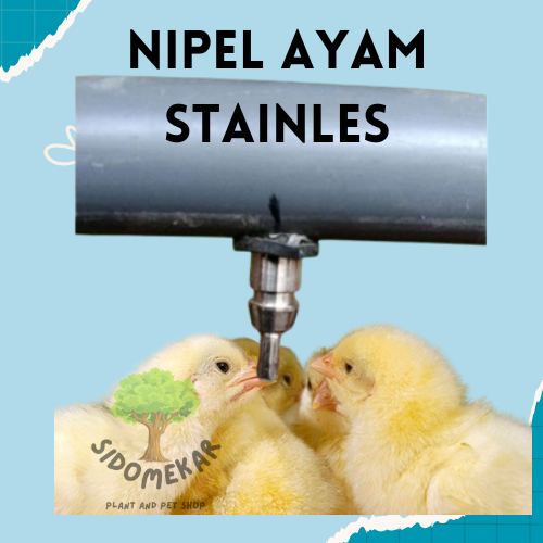 Nipple Niple Nipel Nepel Drinker Tempat Minum Ayam Stainless