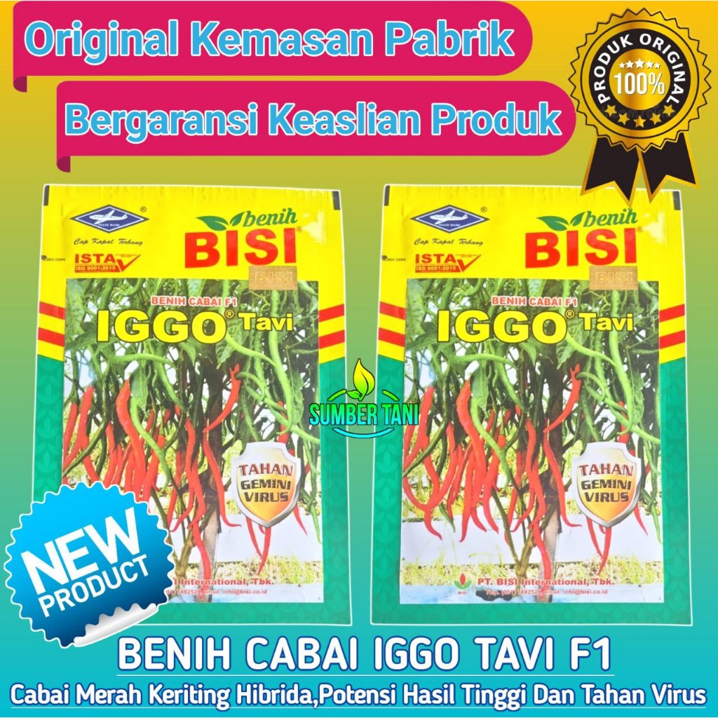 

BENIH CABAI KERITING IGGO TAVI F1 | 10 gram | CAP KAPAL TERBANG