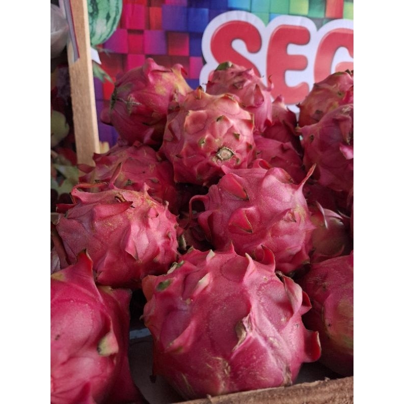 

Buah naga
