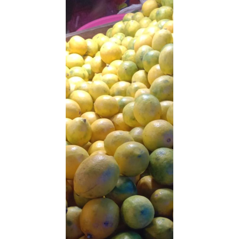

jeruk California lokal