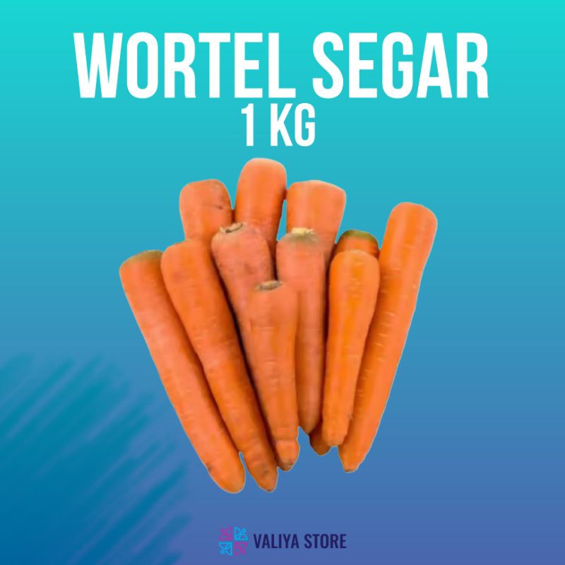 

WORTEL SEGAR 1 KG FRESH KUALITAS TERBAIK | MURAH PROMO