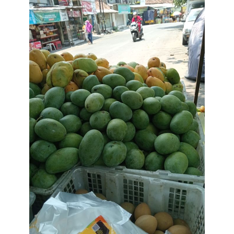 

mangga mana lagi