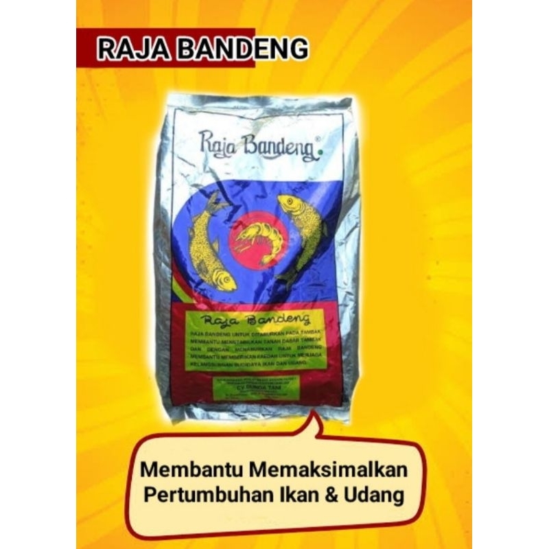 

RAJA BANDENG