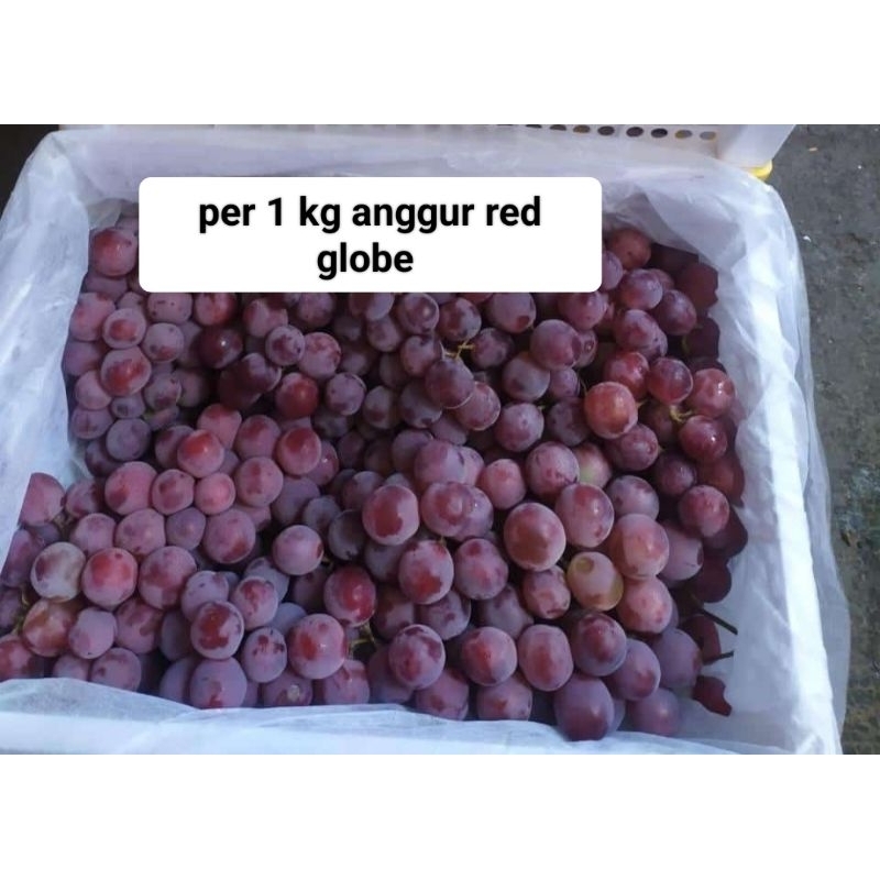 

buah anggur red globe per 1kg buah