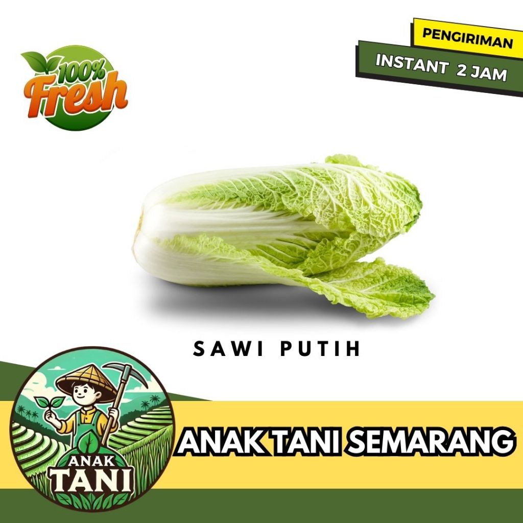 

[ANAK TANI] SAWI PUTIH SEGAR PER 350 GR SIAP KIRIM INSTANT AREA SEMARANG