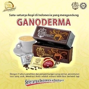 

Kopi Juwara Kopi Kesehatan Kopi Lingzhi Ganoderma Kopi SH Juwara Cafe harga per box isi 20 sachet