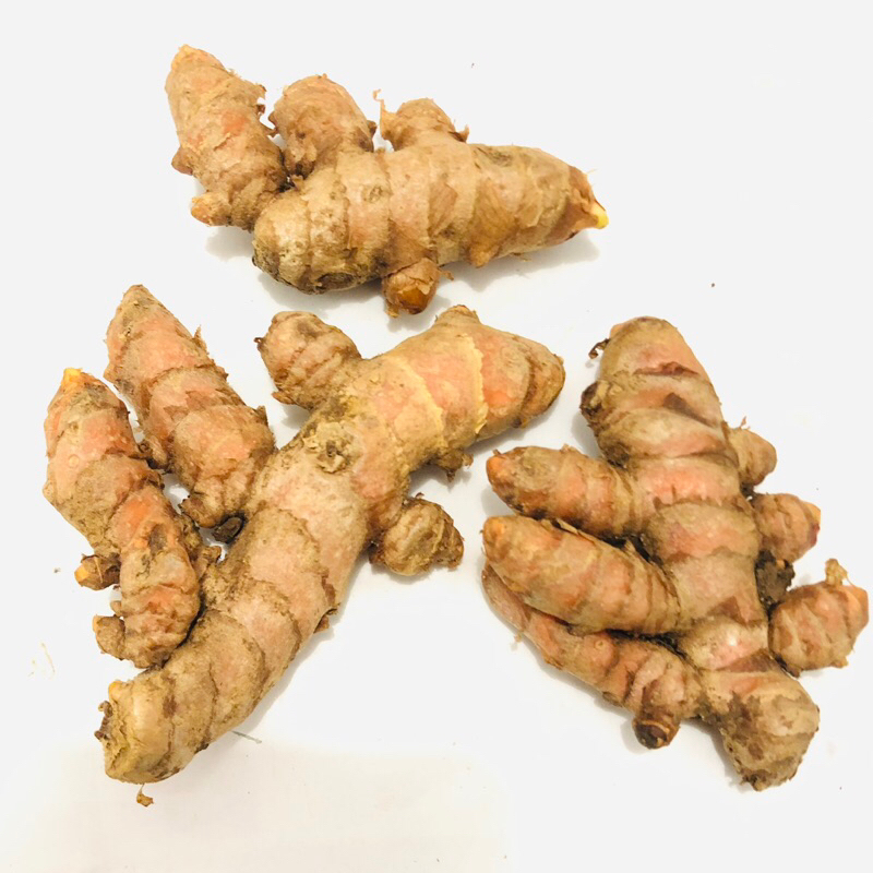 

[COD] [ORGANIK] KUNYIT KUNIR SEGAR 1 KG - CURCUMA LONGA - PEWARNA ALAMI & UNTUK JAMU