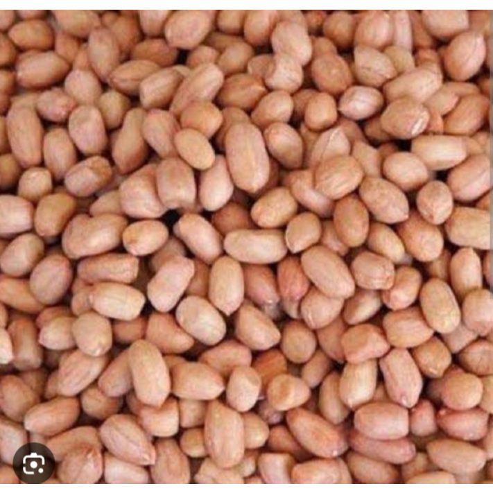 

KACANG TANAH KEMASAN 1KG