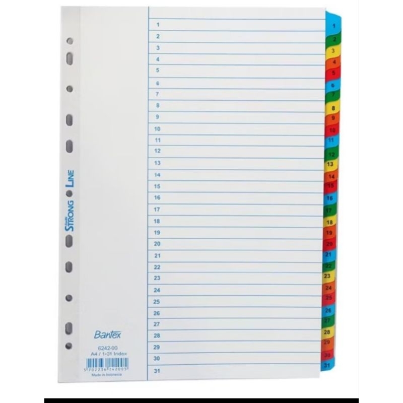 

DIVIDER A4 6242 1-31 BANTEX
