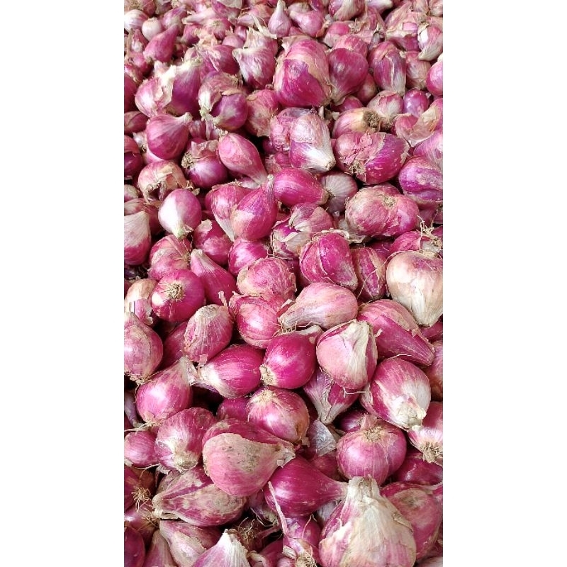

bawang Merah berebes kering campur 1kg