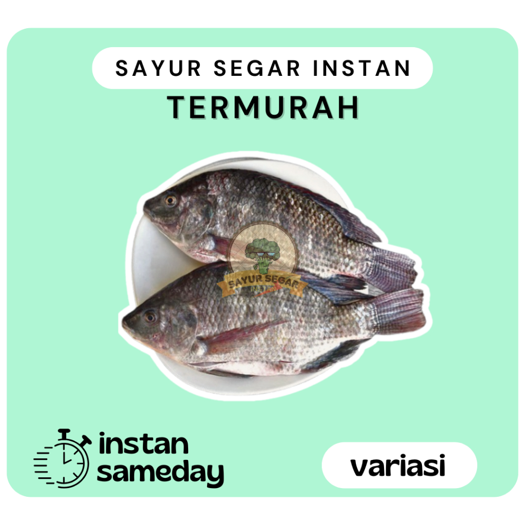 

Ikan Mujaer / Ikan Mujair Segar