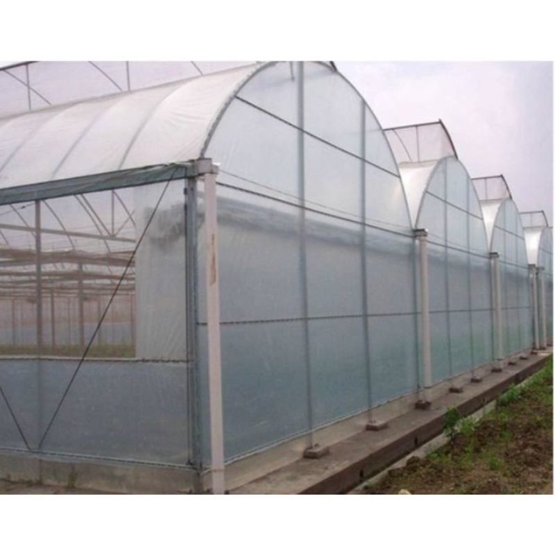 PLASTIK UV 7 x 8 Meter 0,25/250 Micron