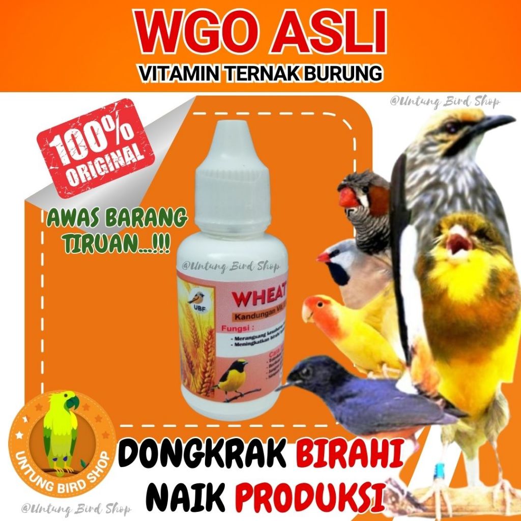 WGO Vitamin Breeding Burung Perkutut Vitamin Ternak Lovebird Cepat Bertelur Suplemen Semua Burung