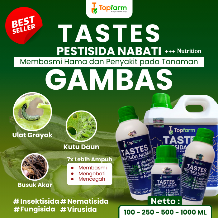 Obat Bercak Daun Gambas / Obat Hama Pada Gambas / Obat Lalat Buah Gambas / Obat Hama Tanaman Oyong /