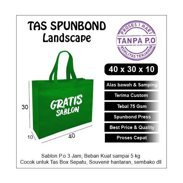 

40x30x10 Tas Spunbond Goodie bag standing Landscape / Tas Box Bag 35x25x10