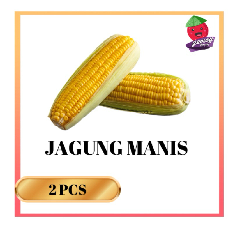 

Jagung Manis