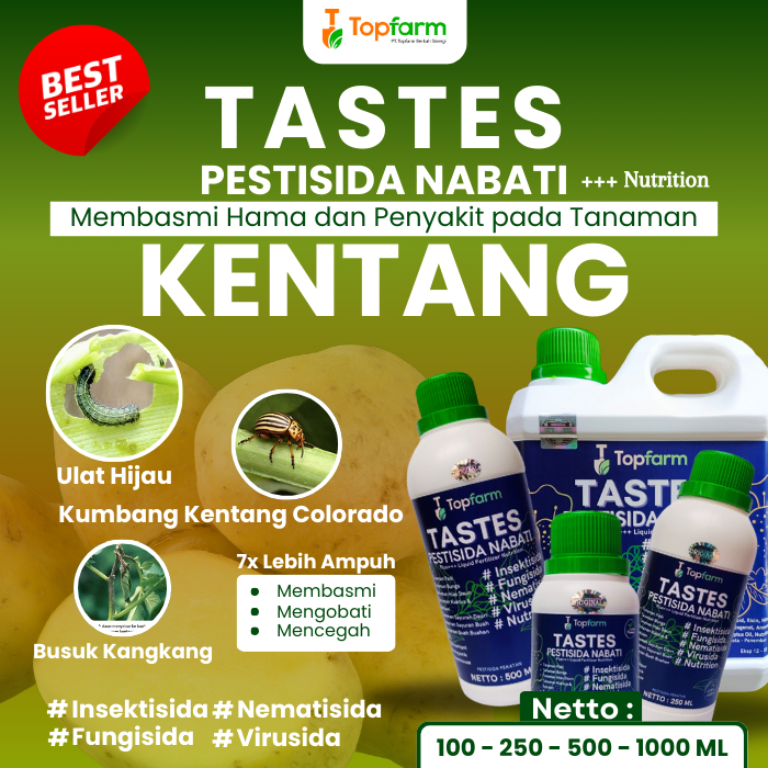 Obat Jamur Tanaman Kentang / Obat Kentang Buat Akar Dan Layu / Obat Kentang Fungisida / Obat Kentang