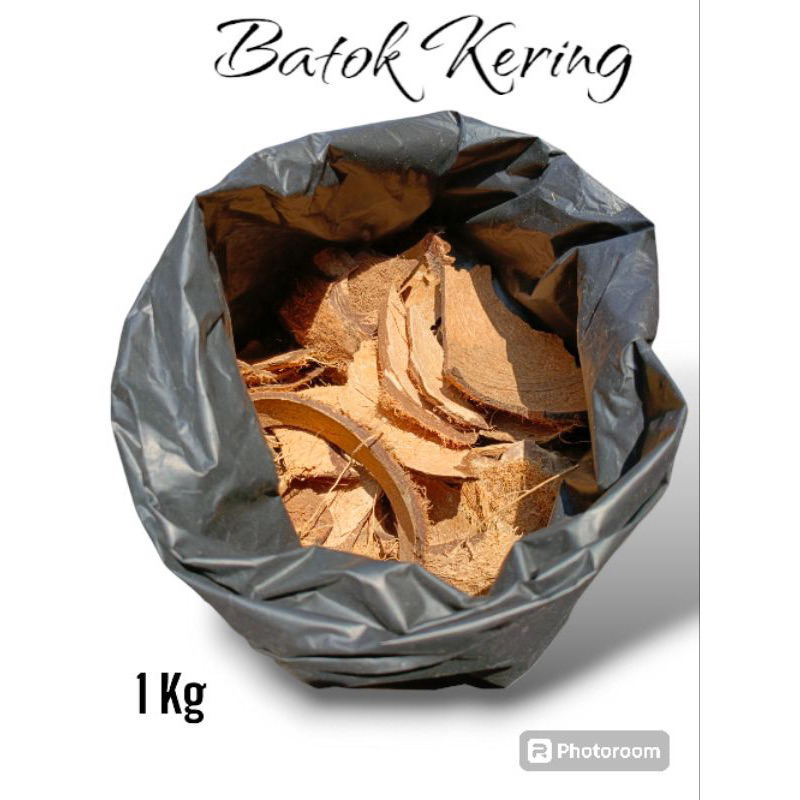 Batok kelapa kering belah