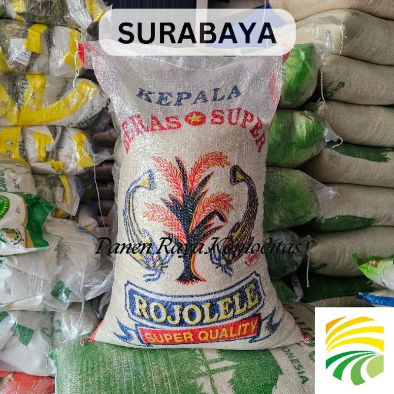 

Beras Raja Lele 25kg Kualitas Baik