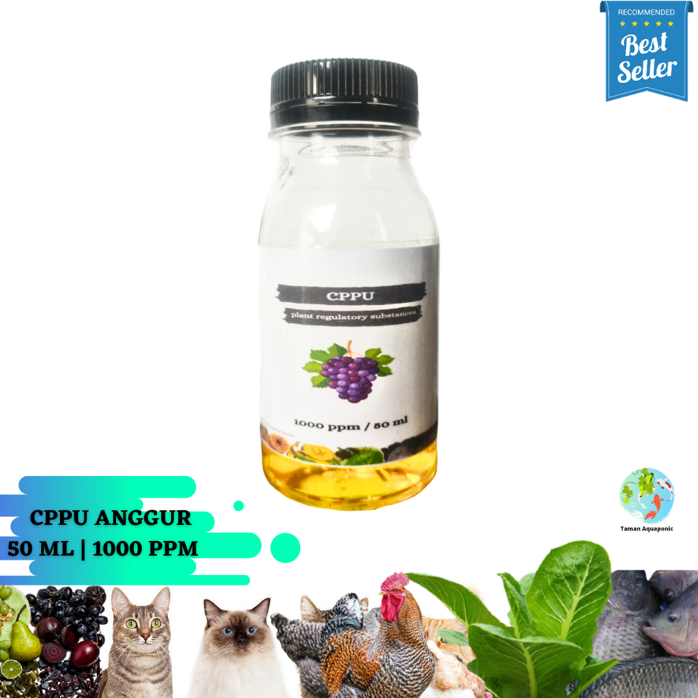 CPPU Anggur ZPT Untuk Memperbesar Buah Anggur