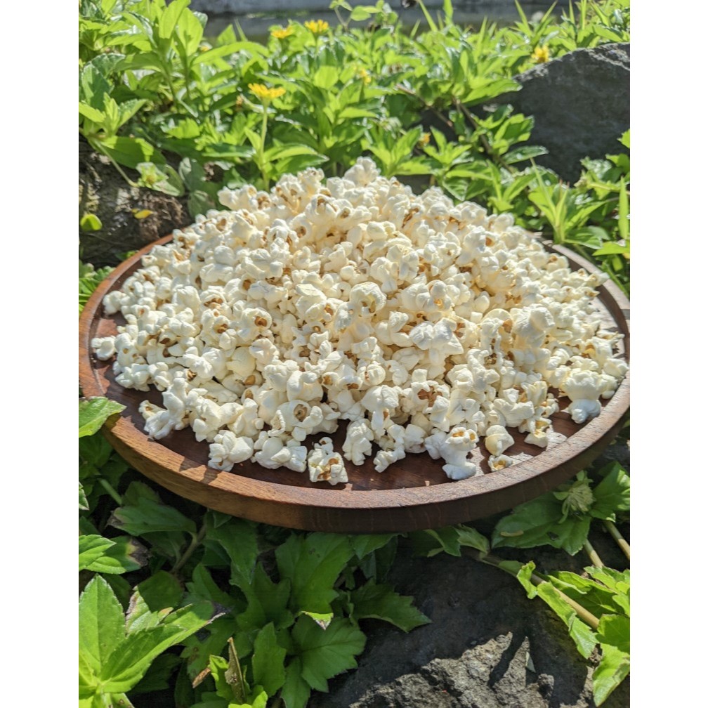 

ANEKA CEMILAN JAGUNG POPCORN KEMASAN 250 GRAM