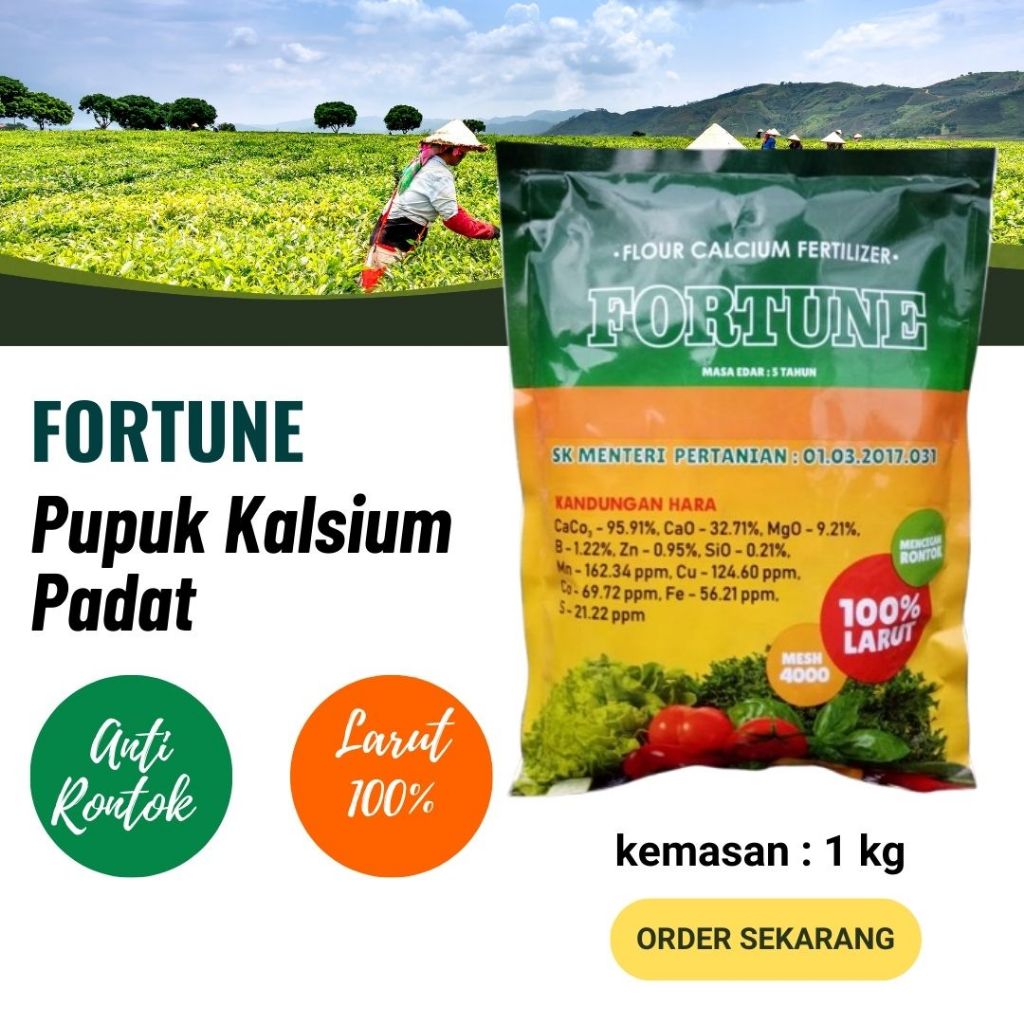 Pupuk Kalsium ( Calsium ) anti rontok bunga dan buah durian, RATU BHUMI nutrisi tanaman cabe