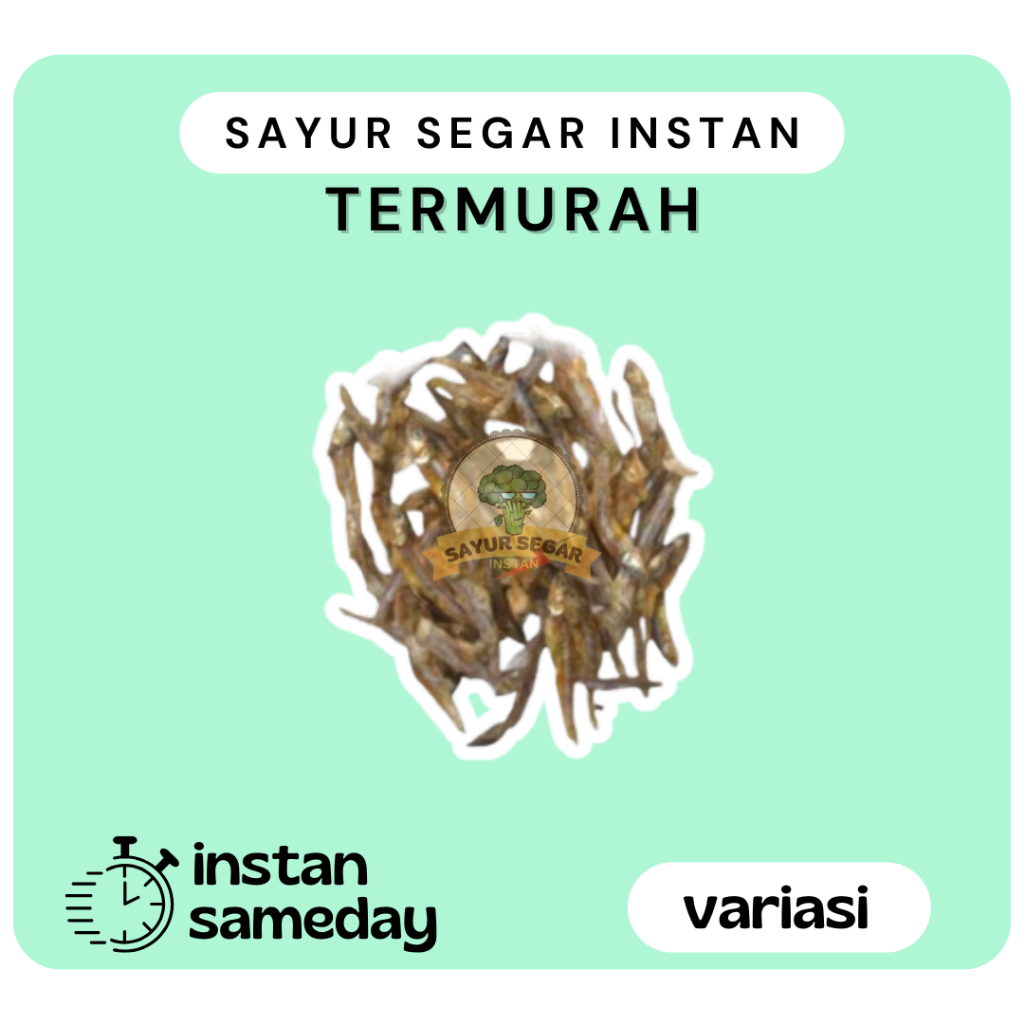 

Teri Padang Segar 100gr/250gr/500gr - Sayur Segar Instan