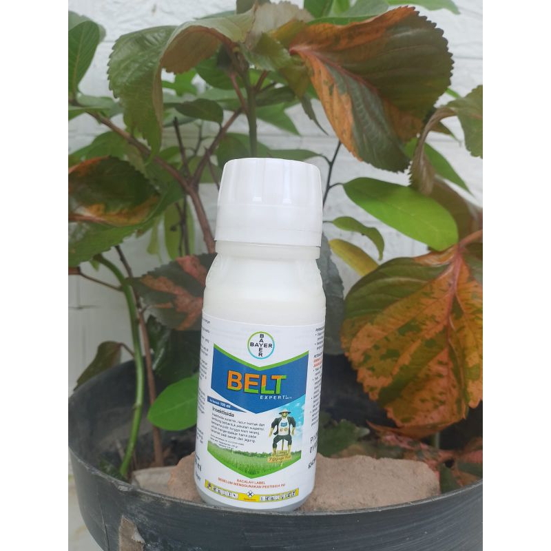 BELT xpert 480SC 100ml obat padi dan jagung