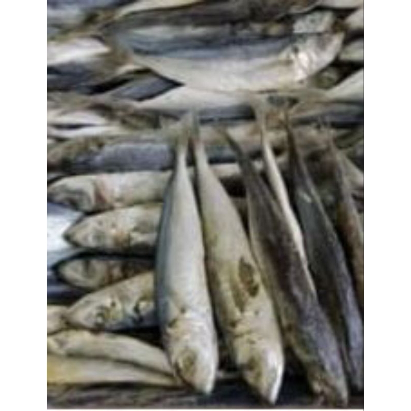 

ikan asin japuh 100g