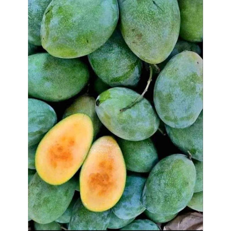 

Mangga Madu simanalagi paket 5kg 1dus