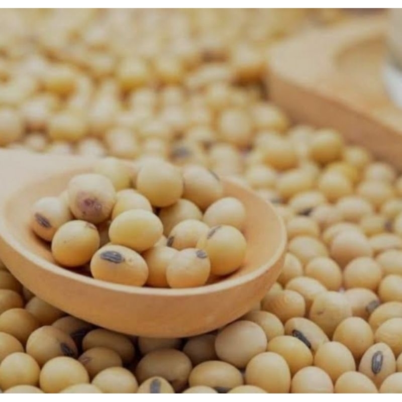 

Kacang Kedelai Kacang Kedelai Berkualitas Tinggi SUPERIOR Kacang Kedelai 400g