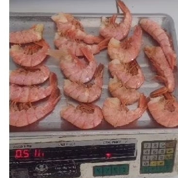 

Udang Argentina ( mentah ) 500 gram