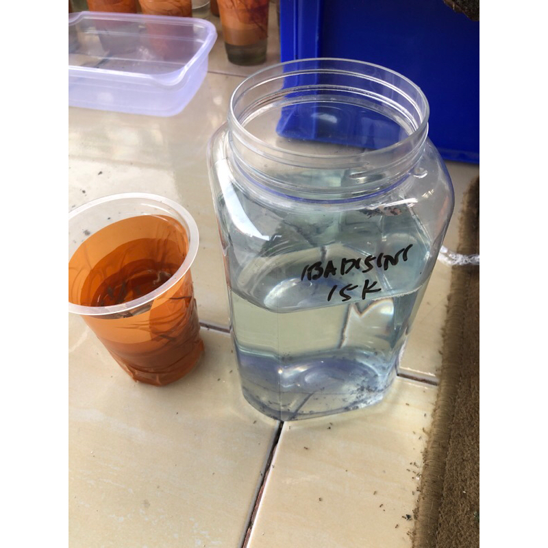 yellow base multicolor