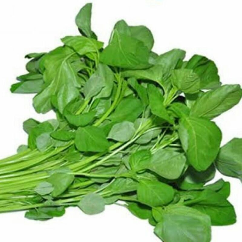 

Bayam Segar/Bayam Fresh/Bayam 1 ikat