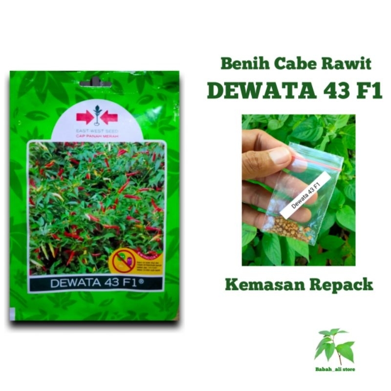 BENIH CABE RAWIT UNGGUL DEWATA 43 F1 ORIGINAL KEMASAN REPACK