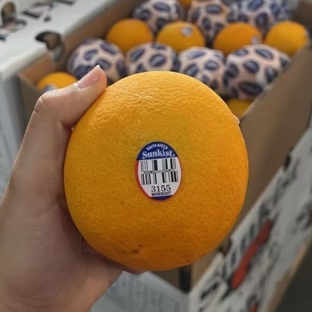 

Jeruk Valencia Segar Per Kg