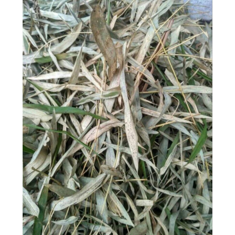 

daun bambu kering