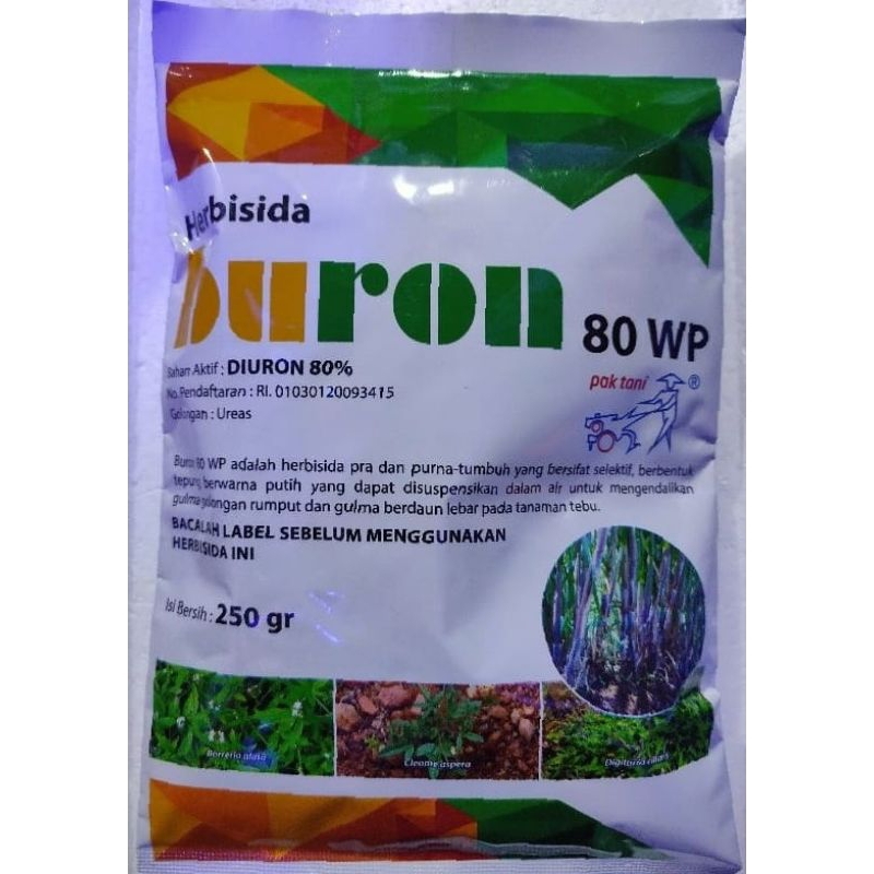 herbisida buron diuron 250gram